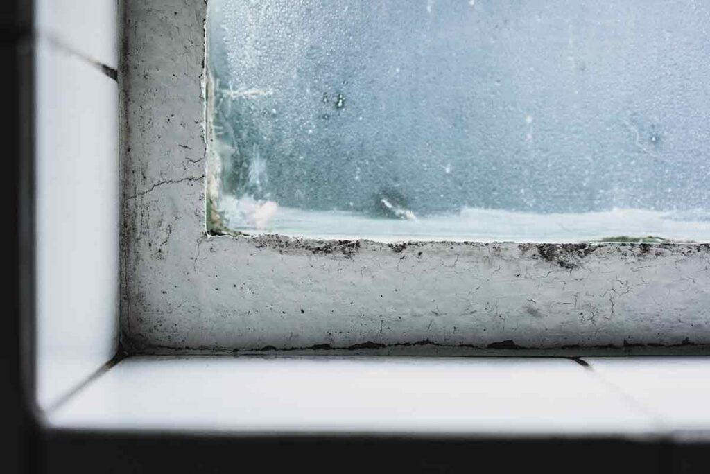 Diagnostic d'humidité à Rouen : condensation excessive et moisissures sur un cadre de fenêtre intérieure.