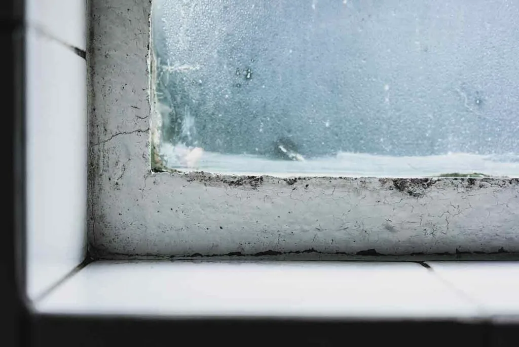 Diagnostic d'humidité à Rouen : condensation excessive et moisissures sur un cadre de fenêtre intérieure.