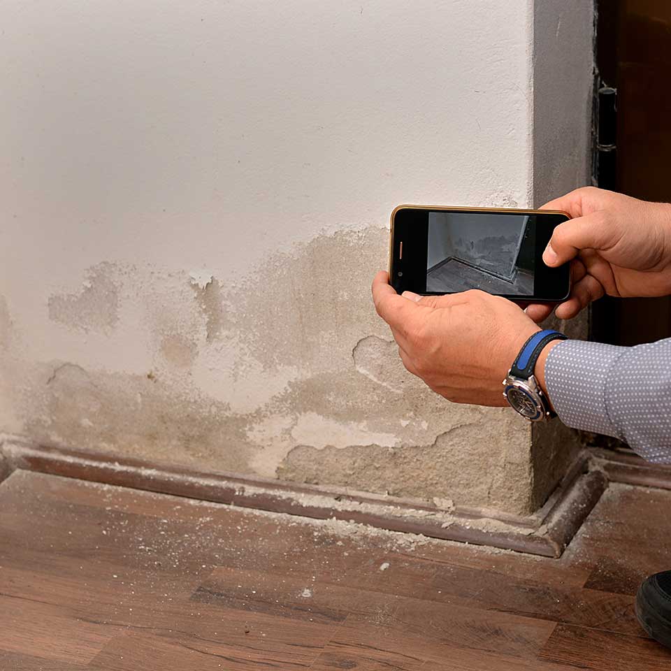 Expertise humidité à Rouen : diagnostic de moisissures sur un mur intérieur.
