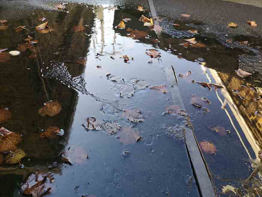 Expert toiture-terrasse